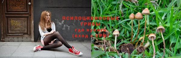 прущая мука Карталы