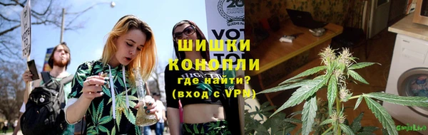 крисы Карпинск