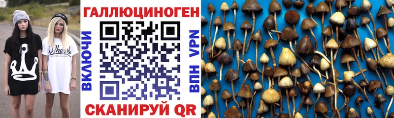 Галлюциногенные грибы мухоморы  Купить закладки  Гвардейск 